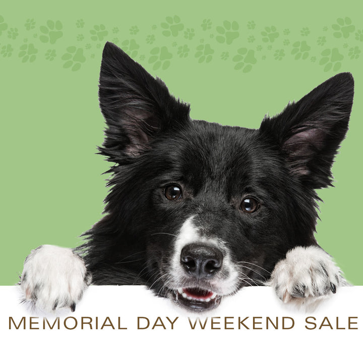 Memorial Day Weekend Sale