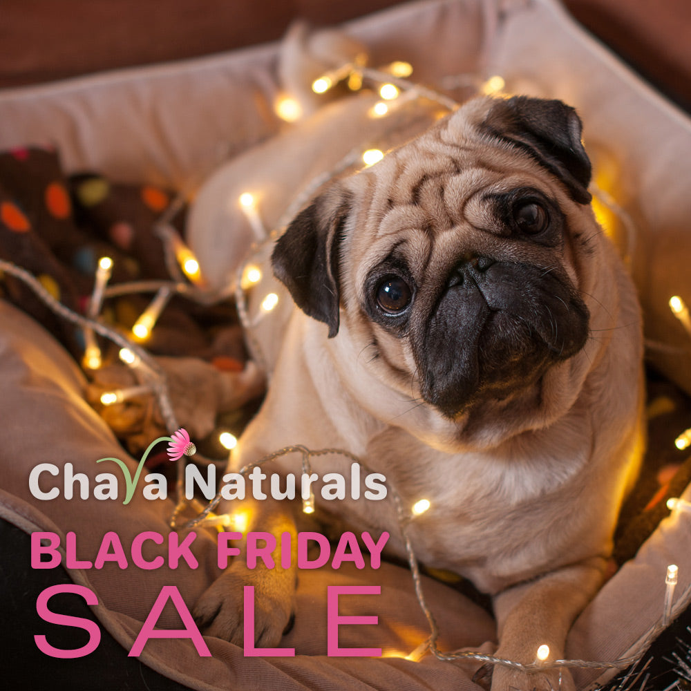 Black Friday Sale