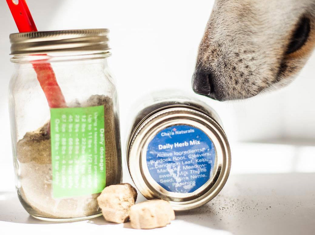 Heaven Sent Healthy Dog Supplements