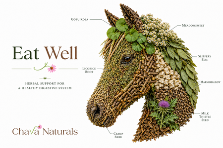 Eat Well Herbs for Horses